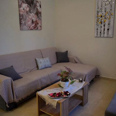 Dolphins House Appartement Lixouri Buitenkant foto